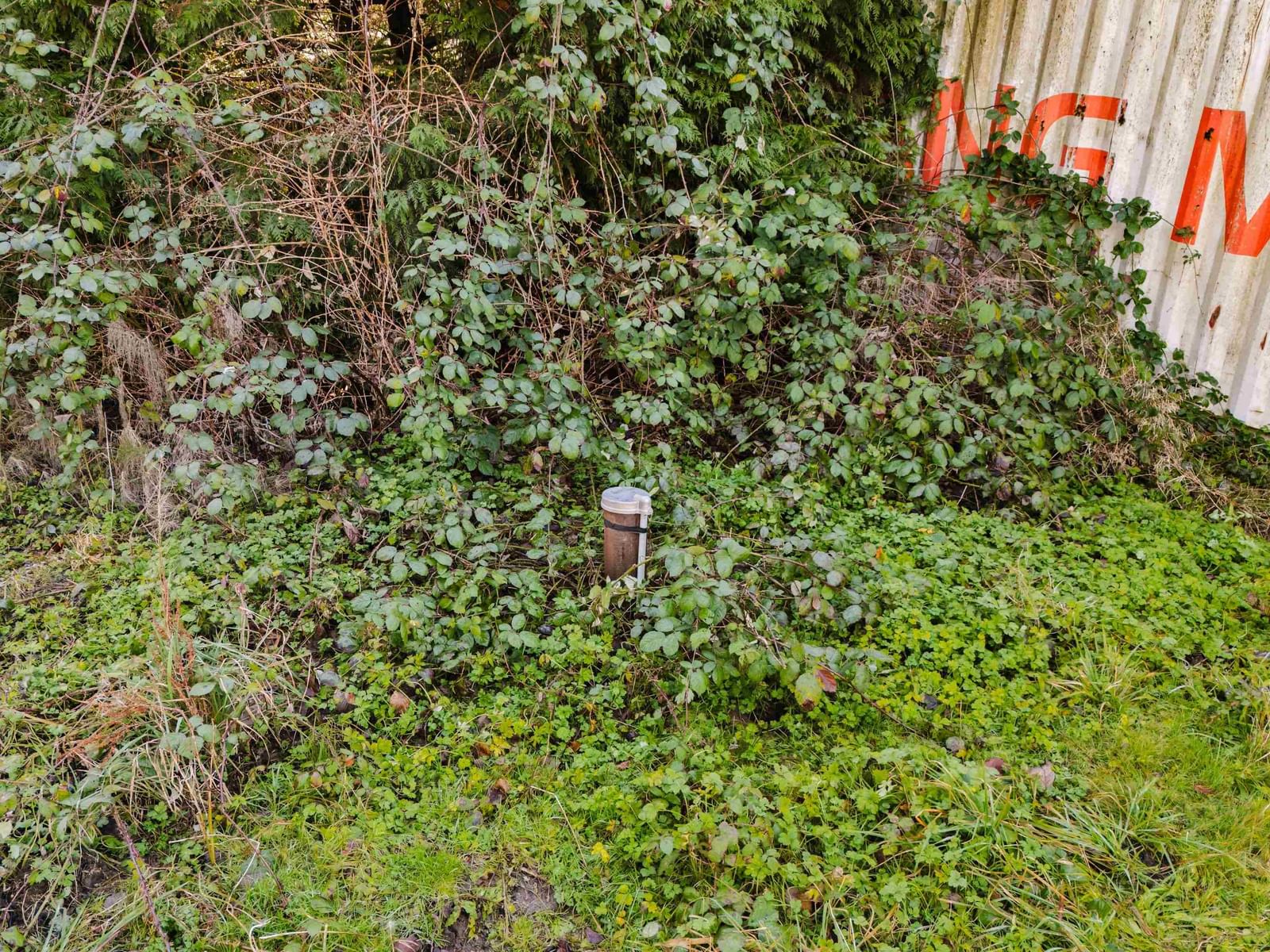 Listing Image 18