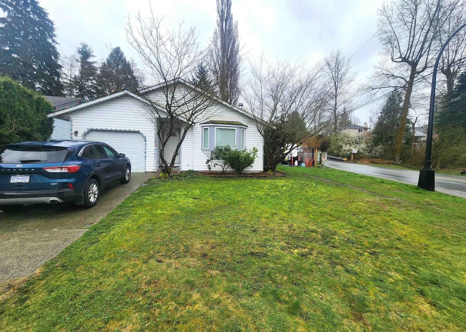 Listing Image 18
