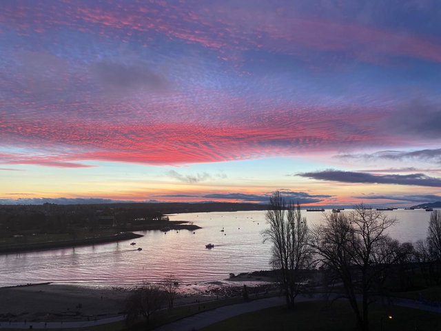 901 - 1311 Beach Avenue