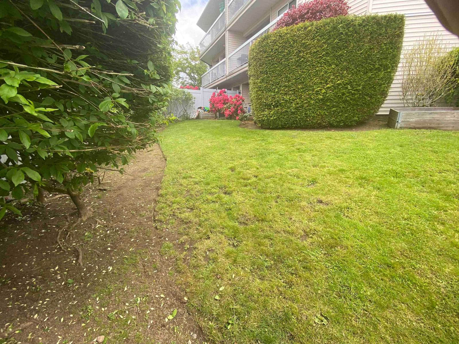 Listing Image 5