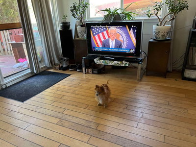 6 Bracken Parkway | Squamish | Image