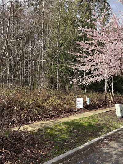 13395 237a Street | Maple Ridge | Image