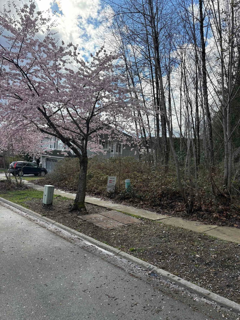 13395 237a Street, Maple Ridge, V2X 0N8 | Image 2