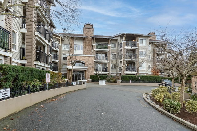 203 - 8915 202 Street