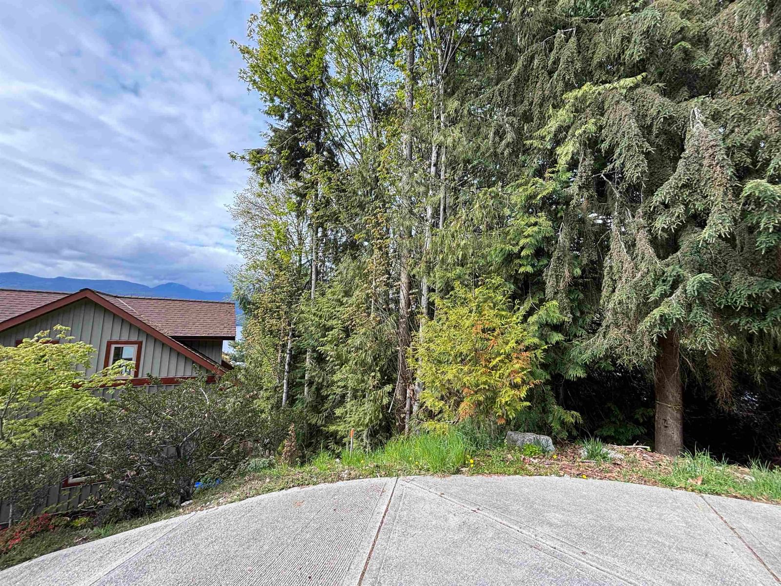 Listing Image 13