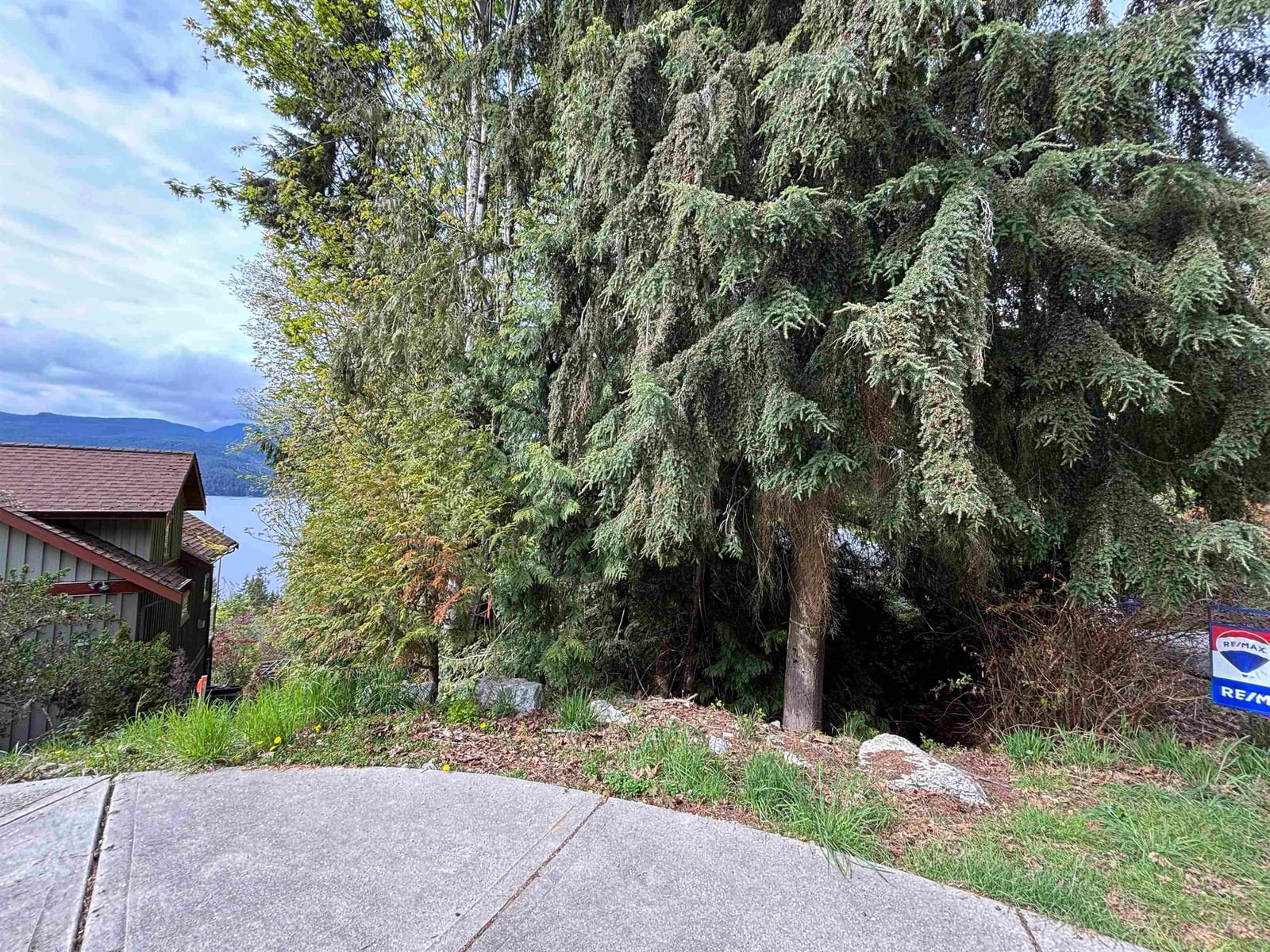 Listing Image 14
