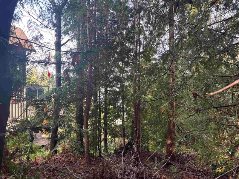 LOT 39 Sandy Hook Road, Sechelt, V0N 3A7 | Image 3
