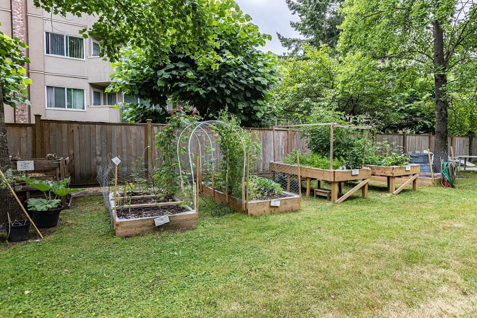 Listing Image 15