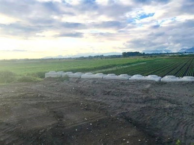 4179 176 Street | Surrey | Image