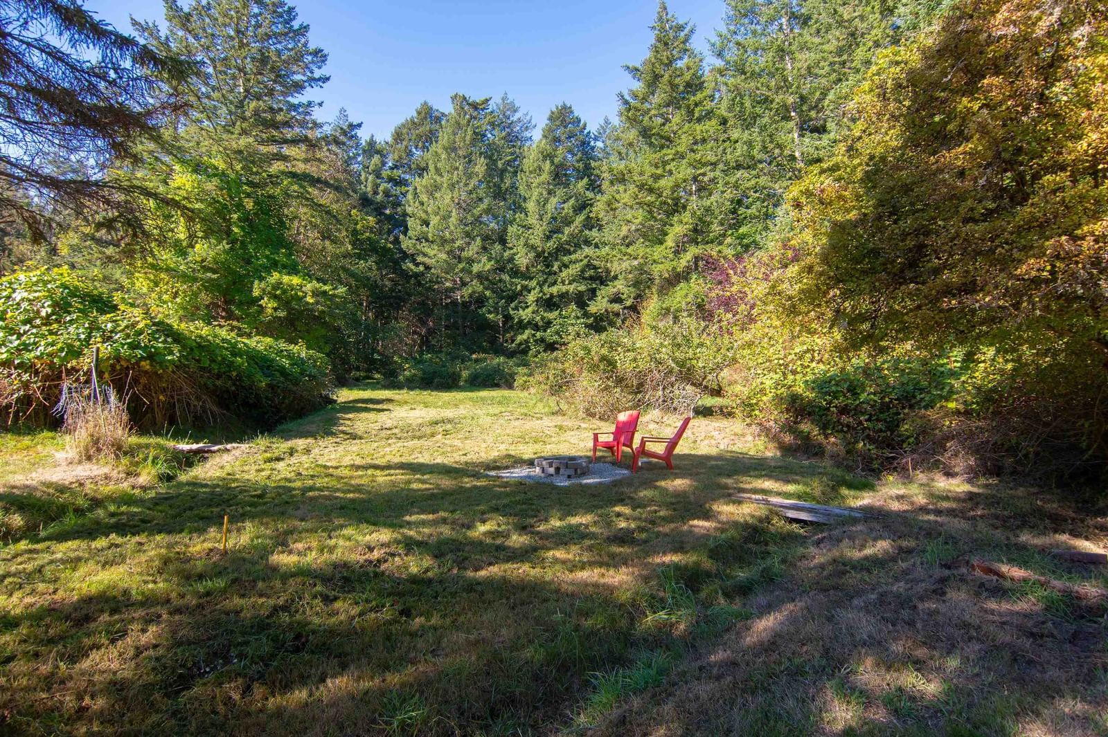Listing Image 29