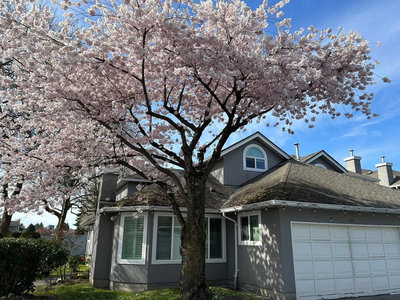 30 - 9731 Capella Drive, Richmond, V6X 3R1 | Image 2