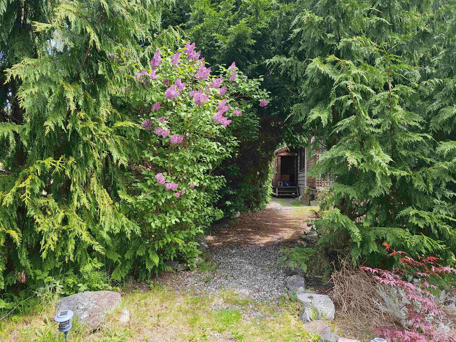 Listing Image 30