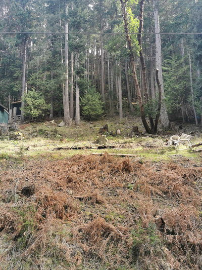 LOT 25 Wood Dale Drive | Mayne Island | Image