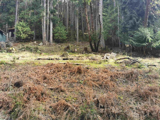 LOT 25 Wood Dale Drive