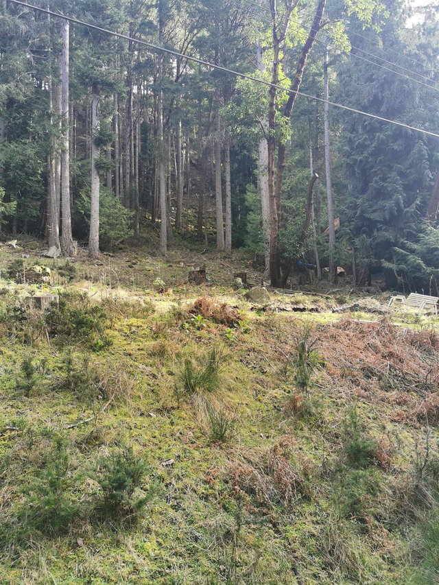 LOT 25 Wood Dale Drive