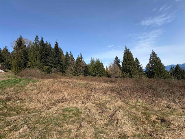 LOT D Woodland Avenue