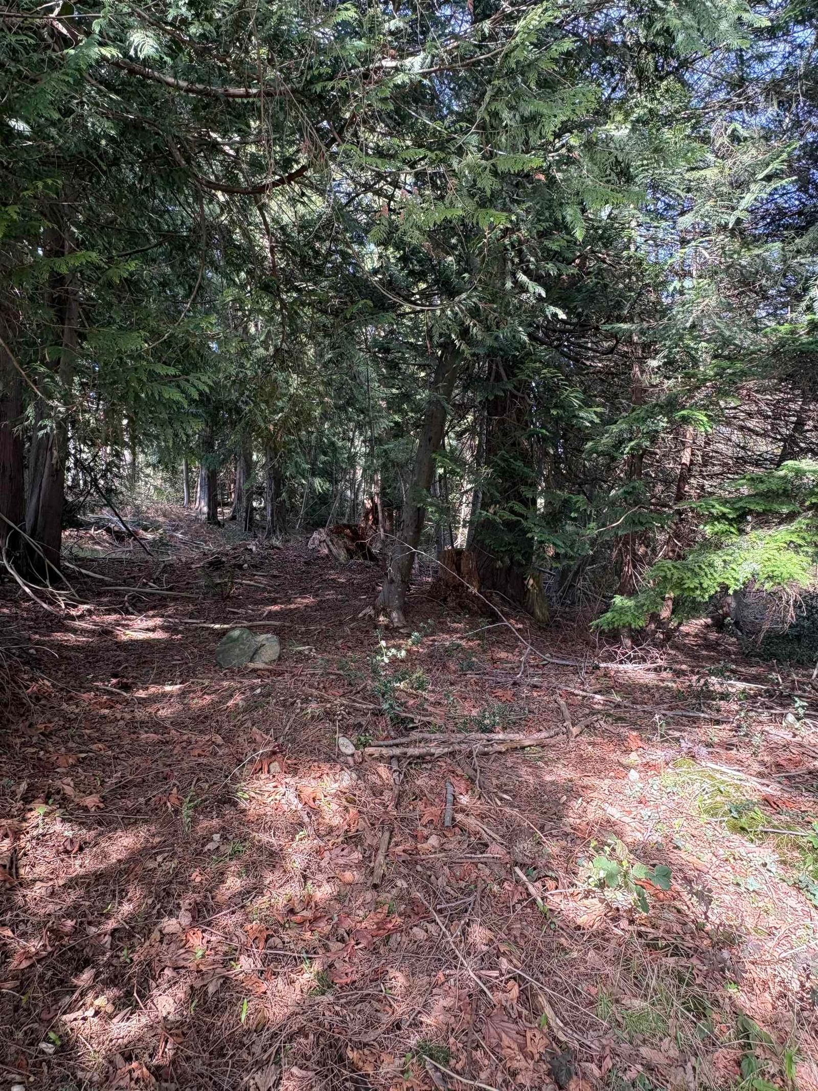 Listing Image 9