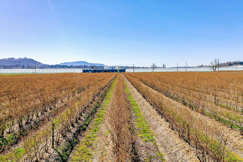 34221 Townshipline Road, Abbotsford, V3G 1R1 | Image 2