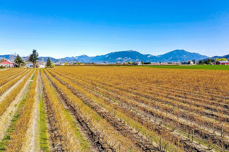 34221 Townshipline Road, Abbotsford, V3G 1R1 | Image 3