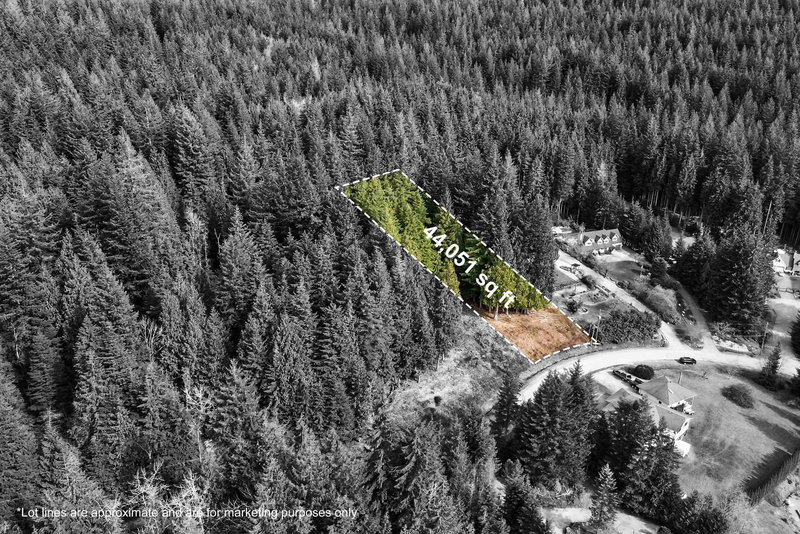 27641 128 Avenue, Maple Ridge, V2W 1N5 | Image 2