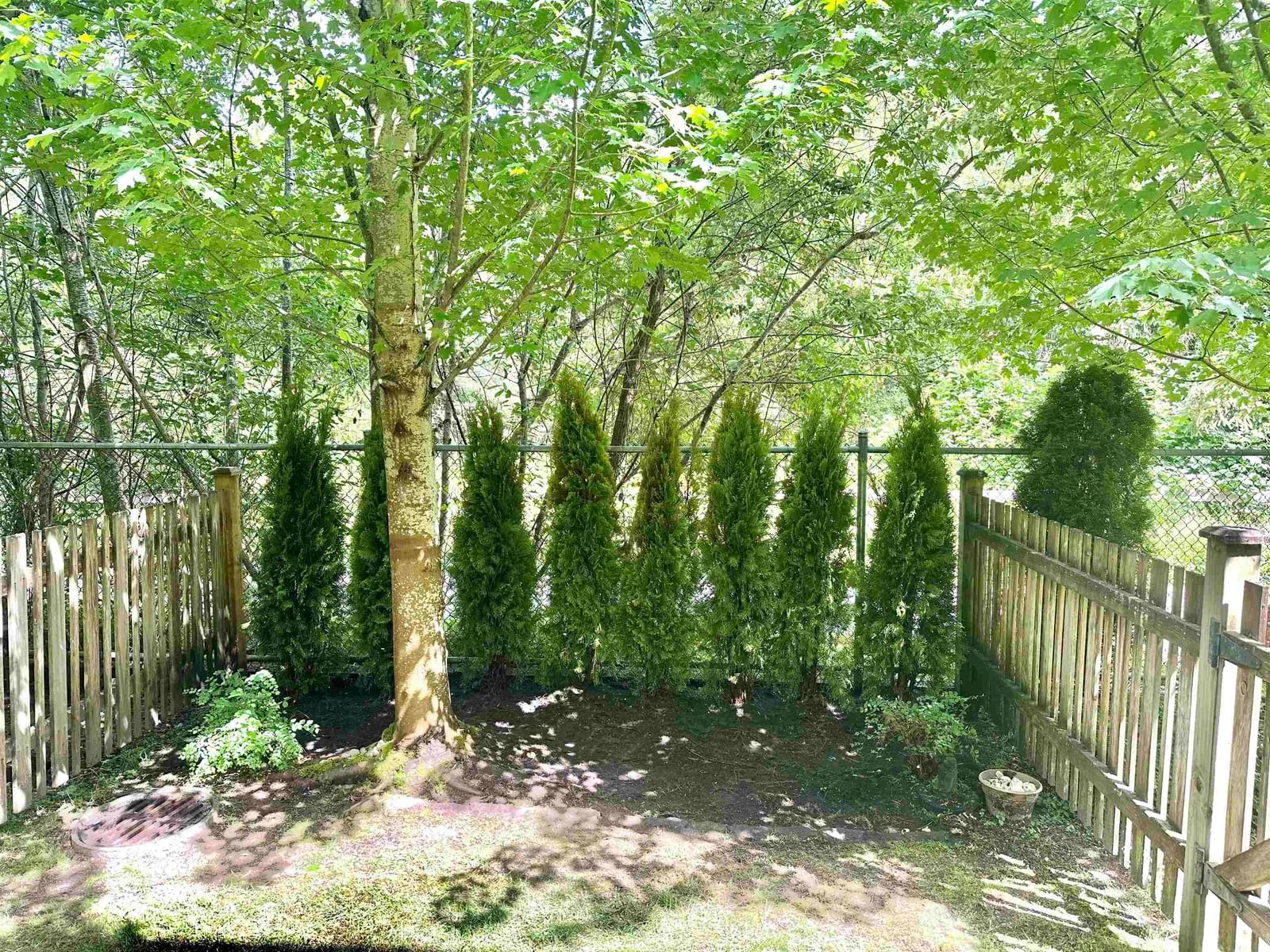 Listing Image 26