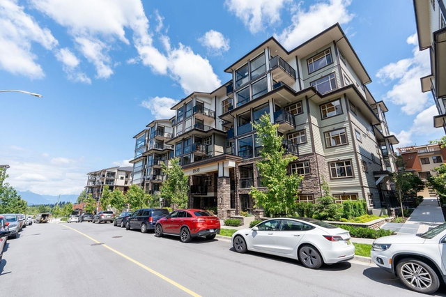 303 - 8538 203a Street