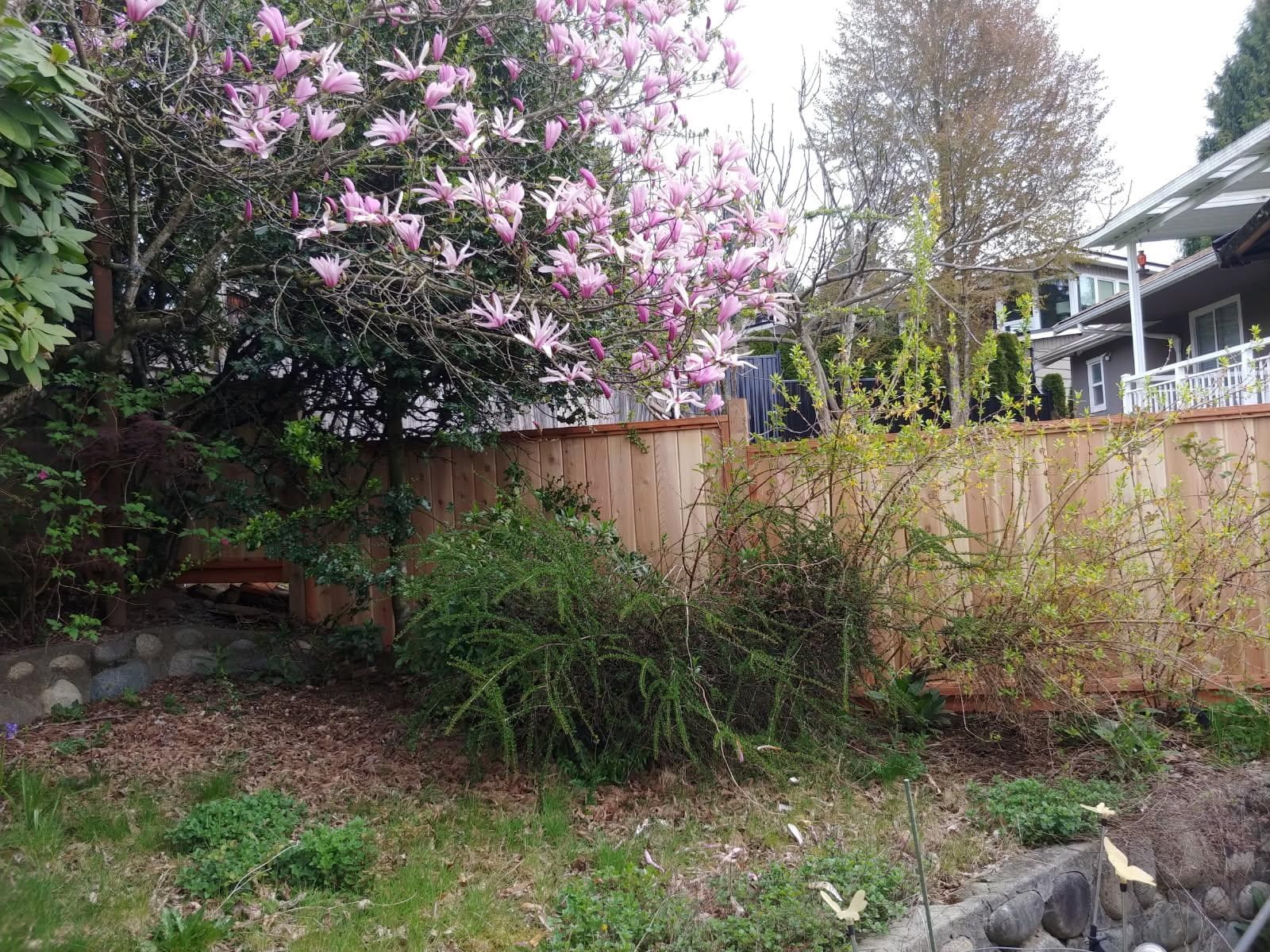 Listing Image 17