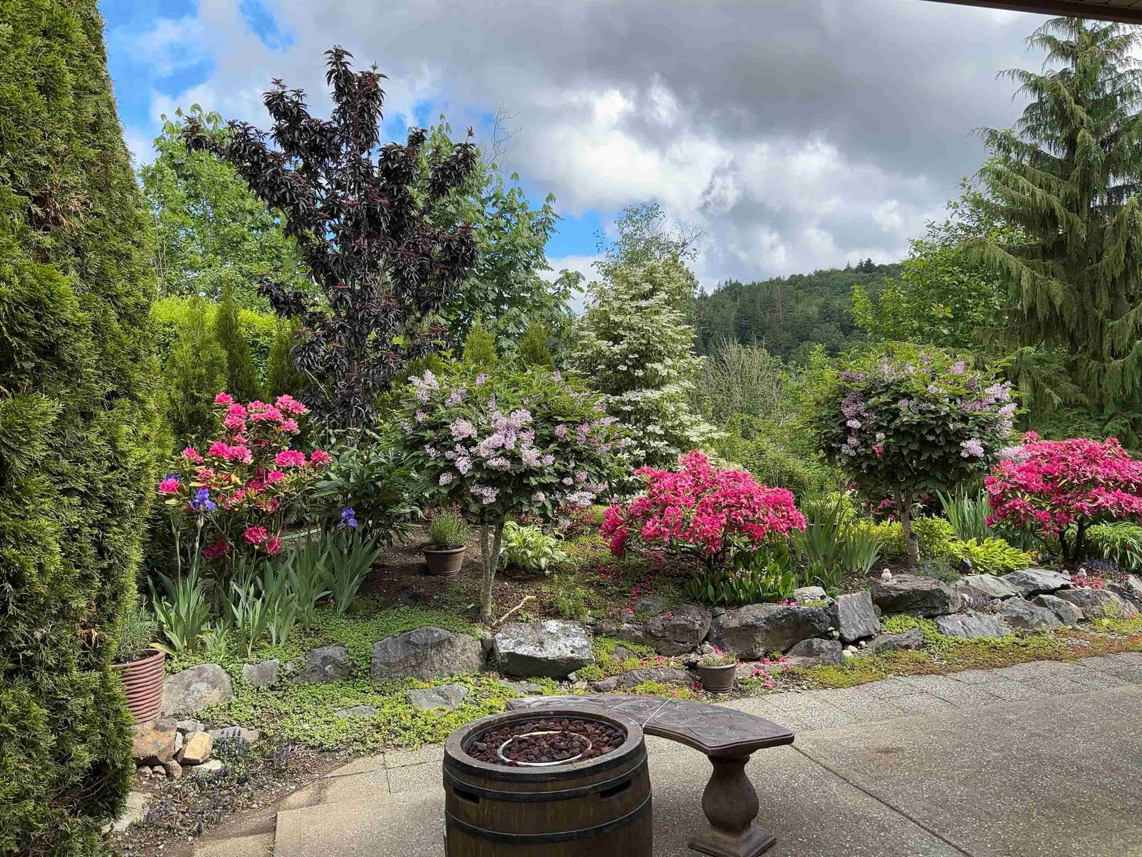 Listing Image 34