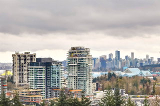 1411 - 2016 Fullerton Avenue