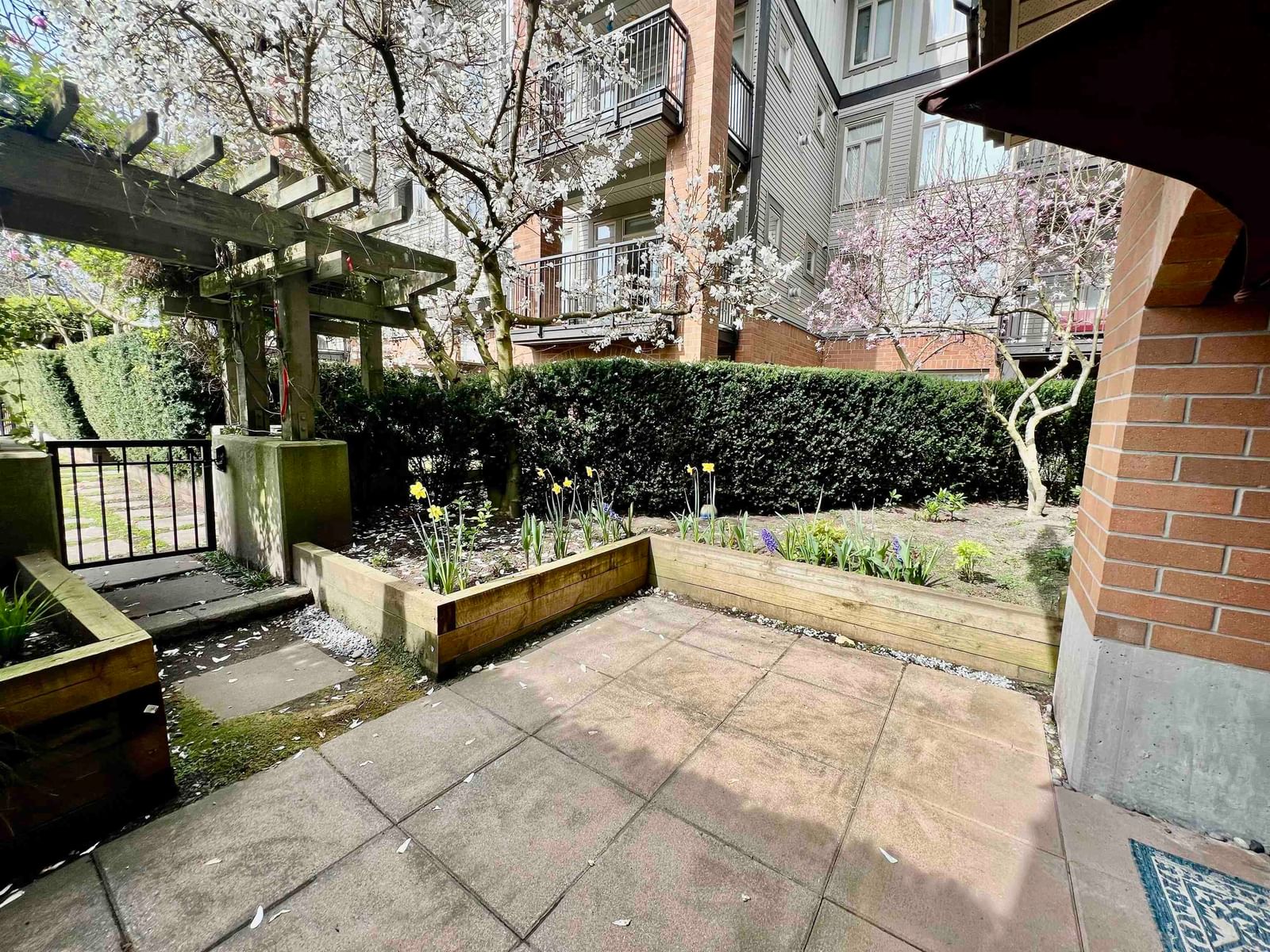 Listing Image 13