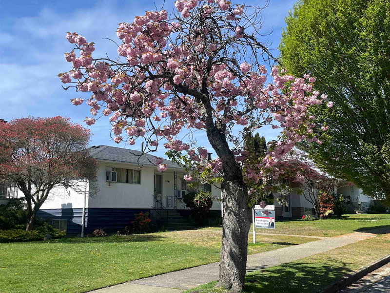 2750 Rosemont Drive, Vancouver, V5S 2C5 | Image 2