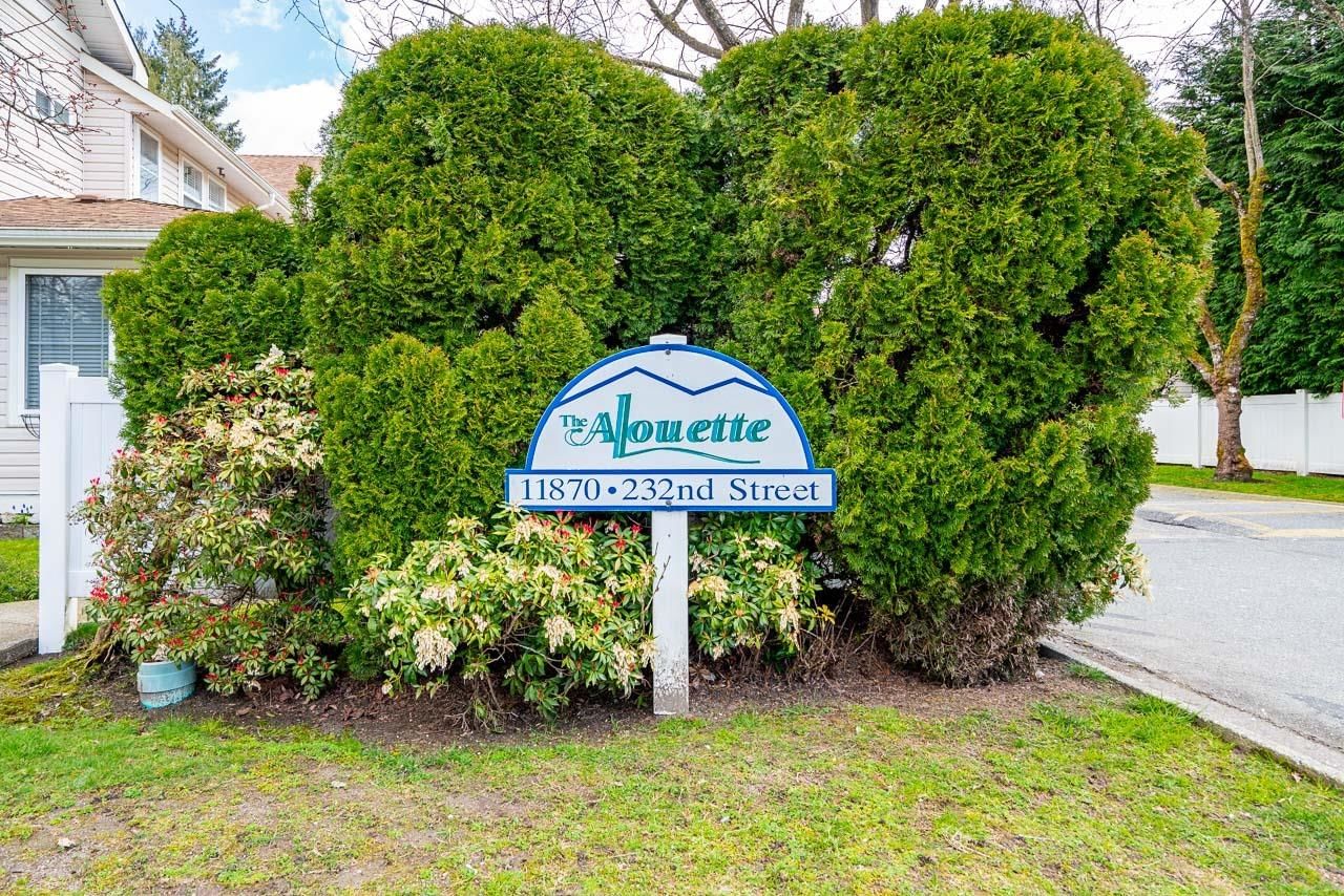Listing Image 30