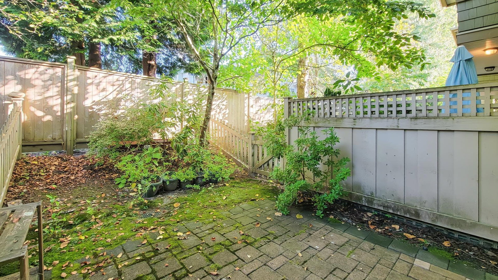 Listing Image 29