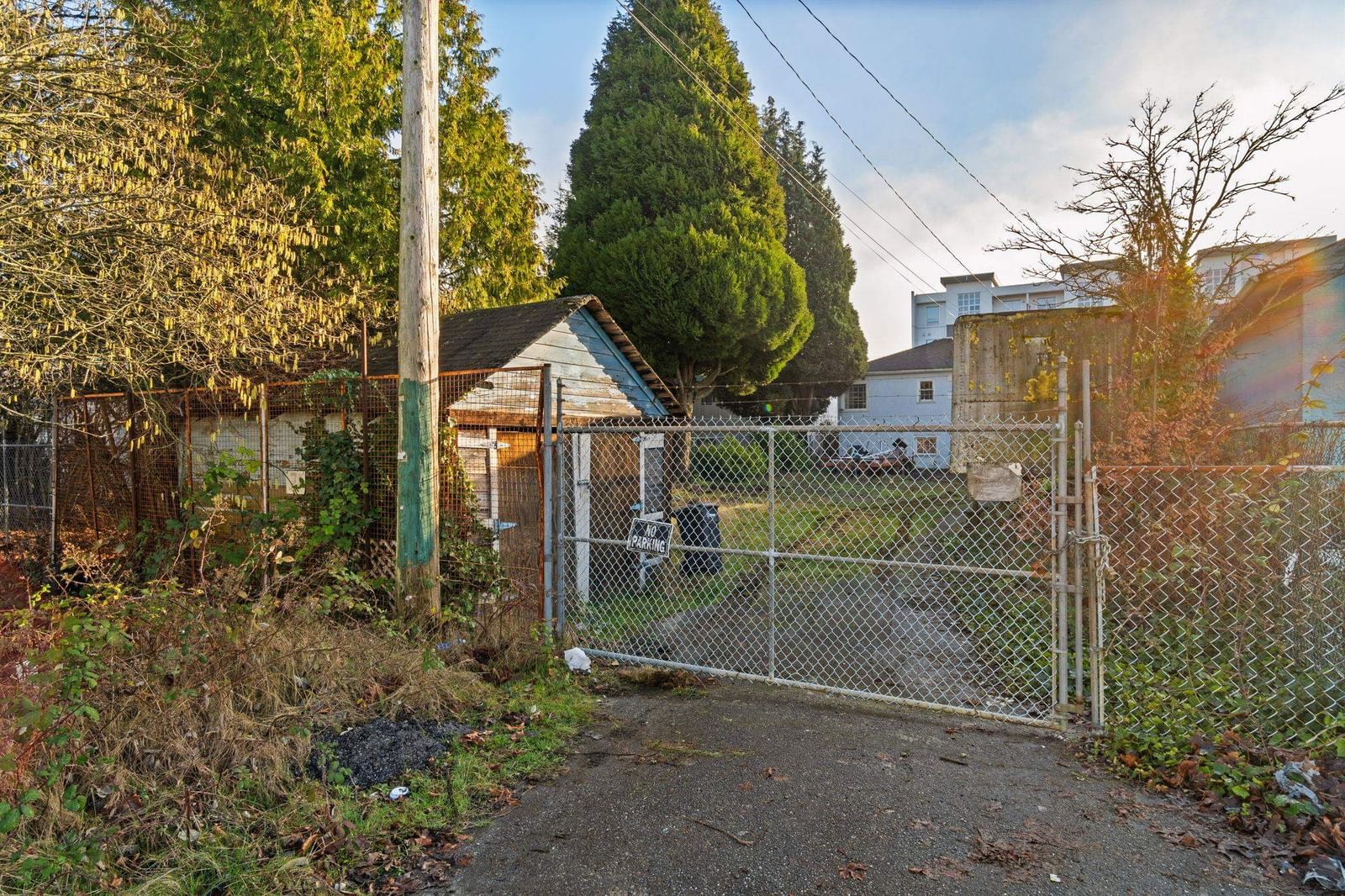 Listing Image 6