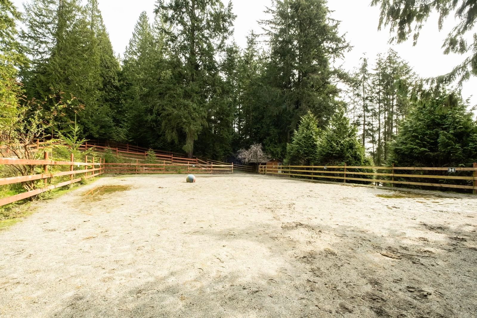 Listing Image 31