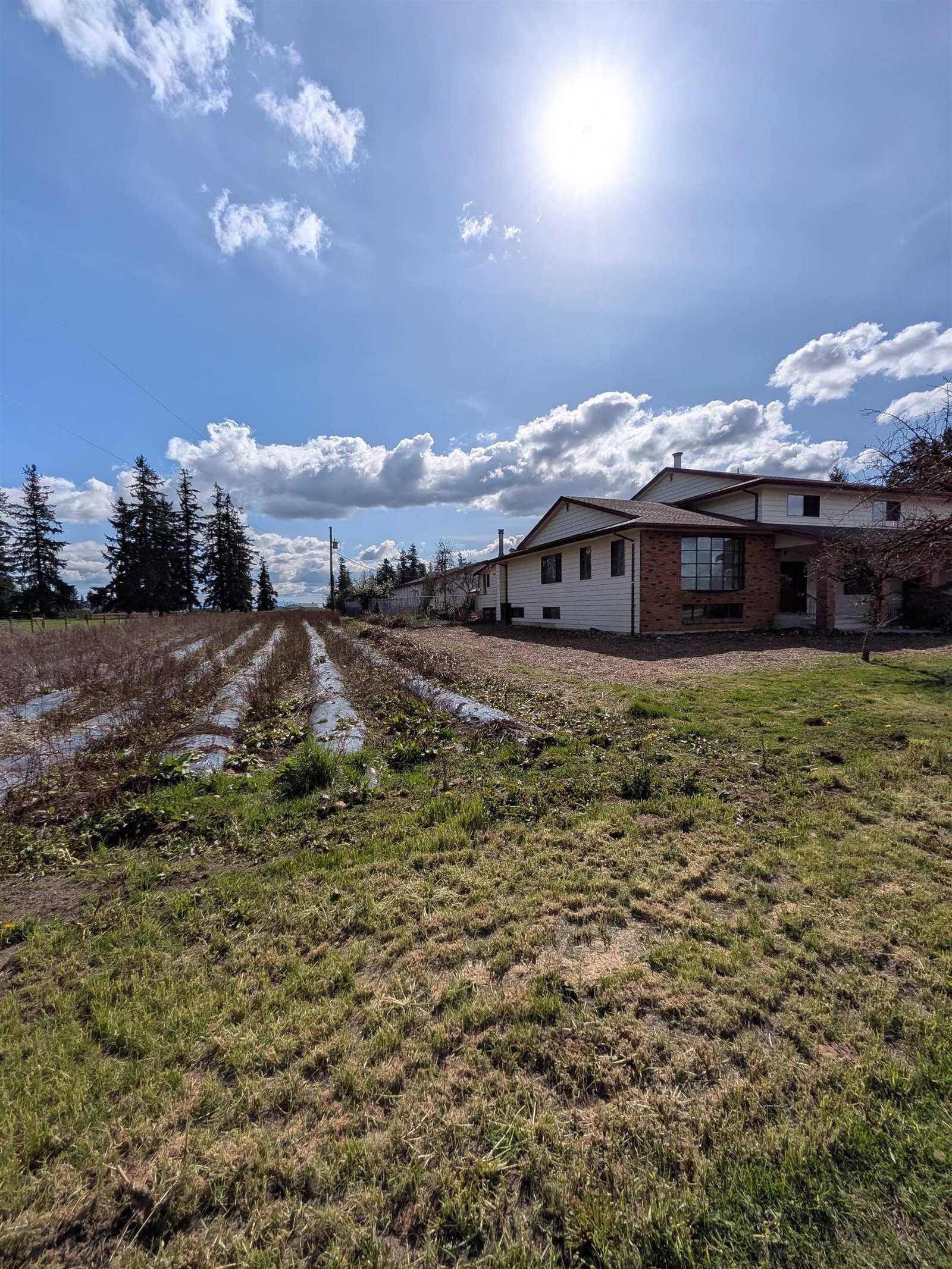 Listing Image 37