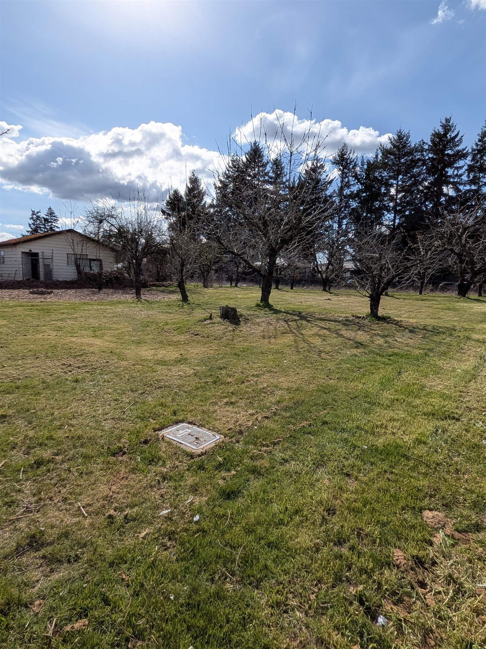 Listing Image 38