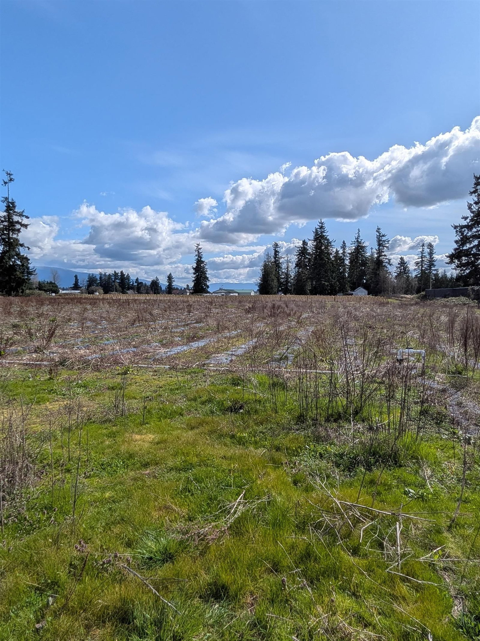 Listing Image 39
