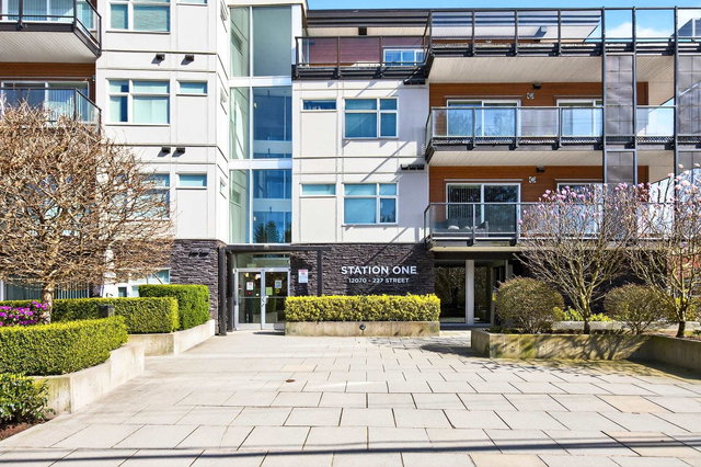 311 - 12070 227 Street
