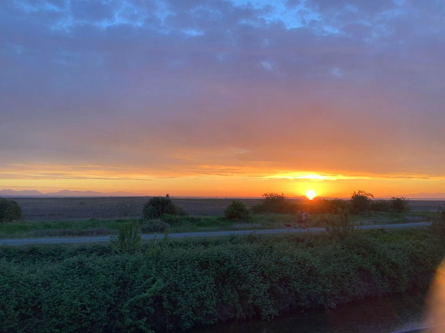 83 - 11491 7th Avenue