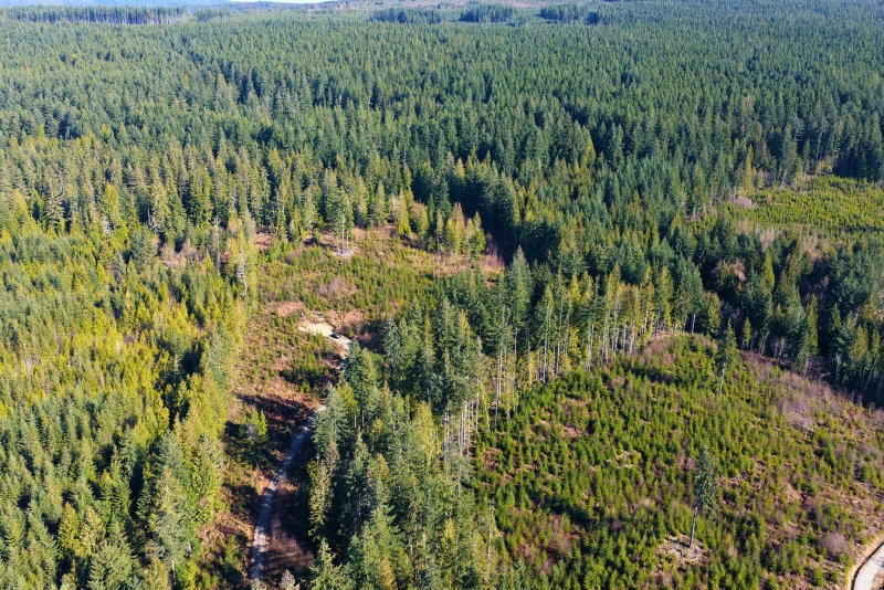 LOT 1 Lockyer Road