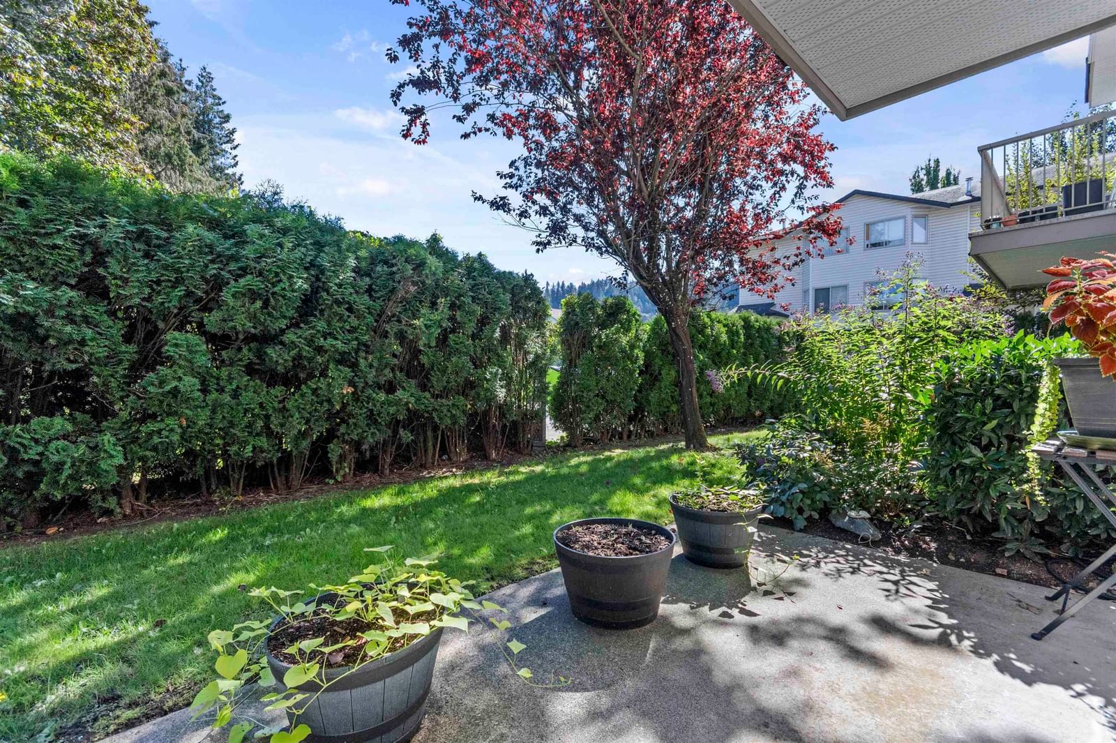 Listing Image 23