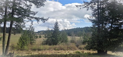 392 Campbell Bay Road | Mayne Island | Image