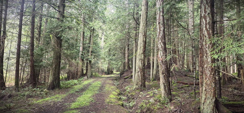 392 Campbell Bay Road, Mayne Island, V0N 2J1 | Image 2