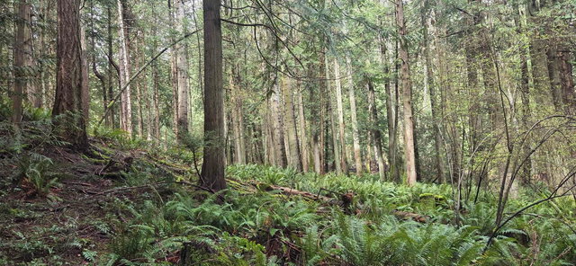 392 Campbell Bay Road