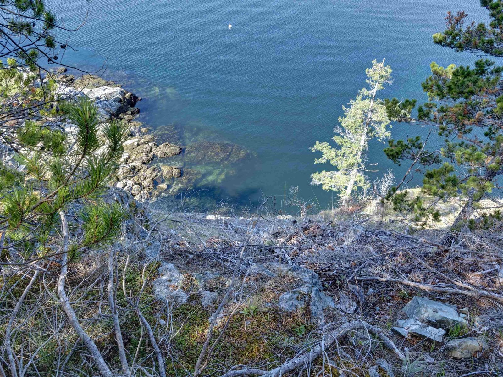 Listing Image 16