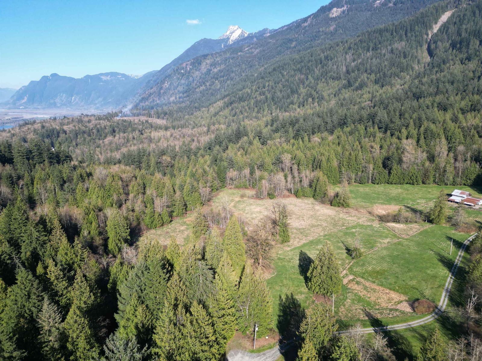 Listing Image 11
