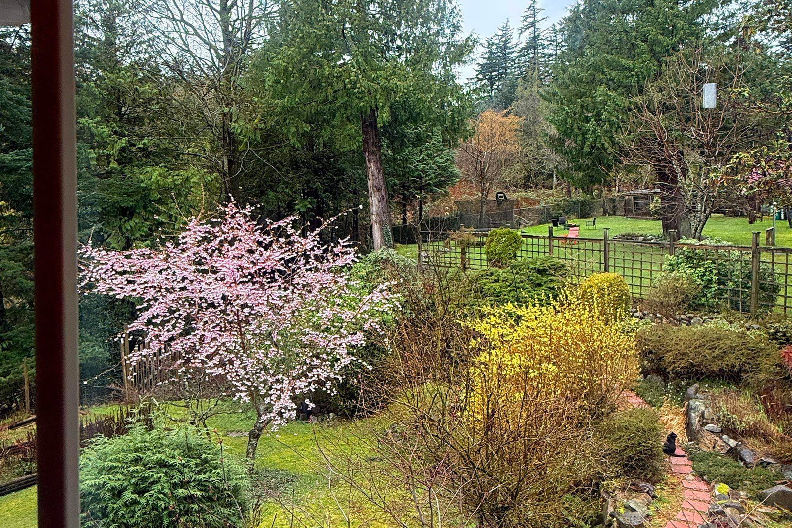 Listing Image 31