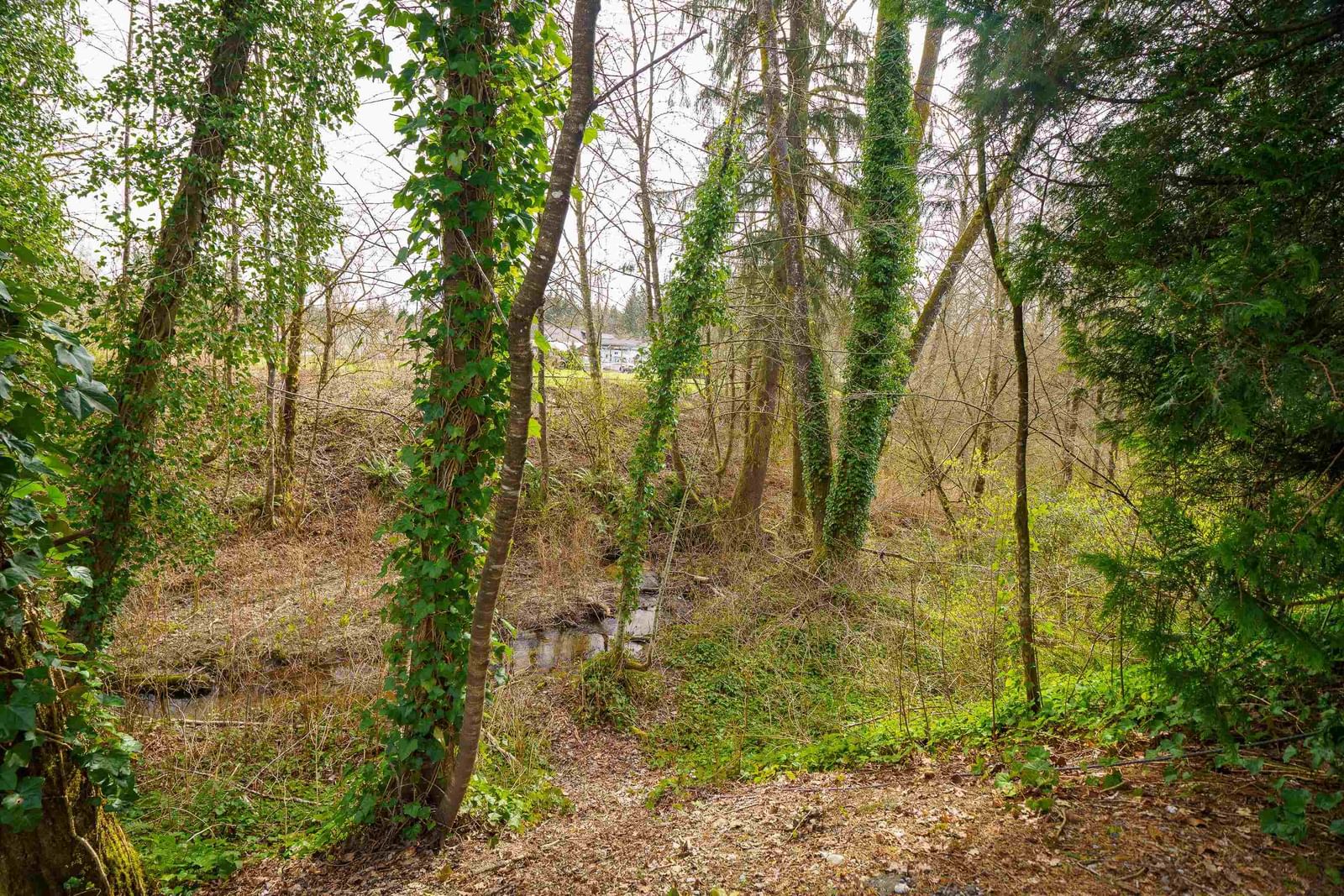 Listing Image 34