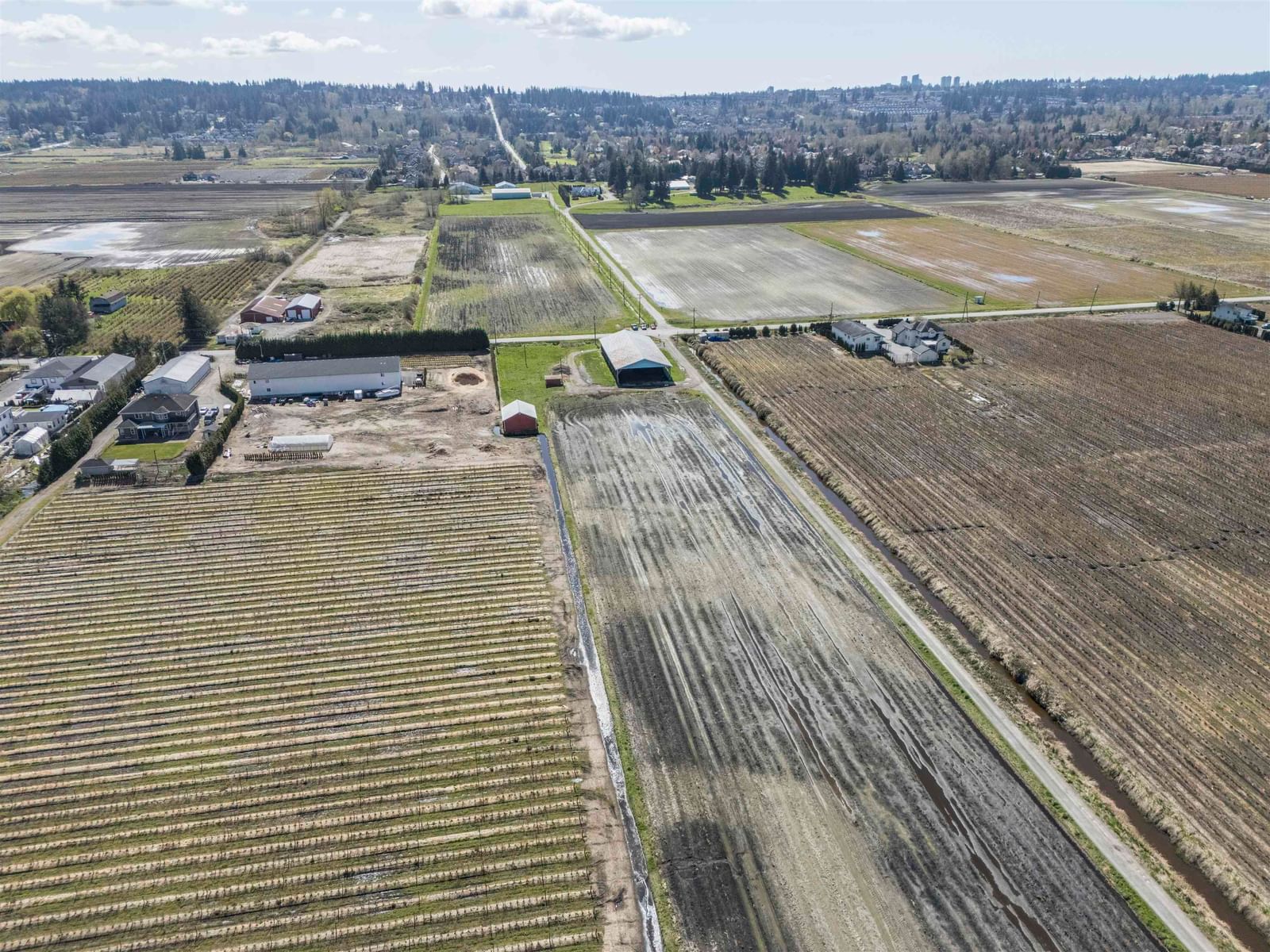 Listing Image 17